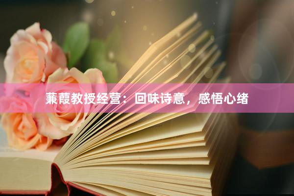 蒹葭教授经营：回味诗意，感悟心绪