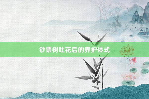 钞票树吐花后的养护体式