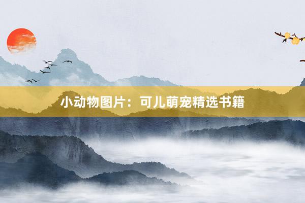 小动物图片：可儿萌宠精选书籍