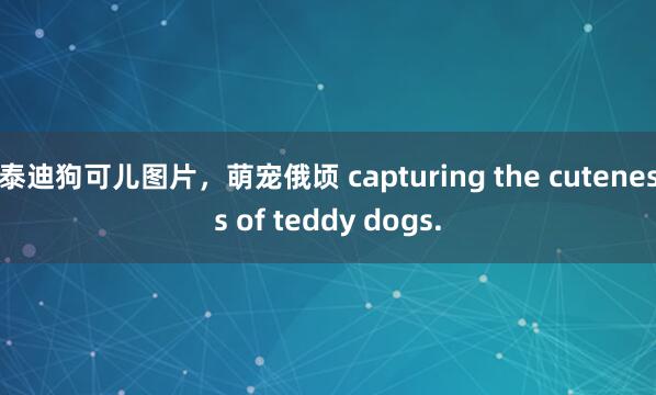泰迪狗可儿图片，萌宠俄顷 capturing the cuteness of teddy dogs.