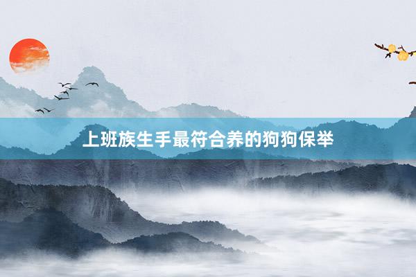 上班族生手最符合养的狗狗保举